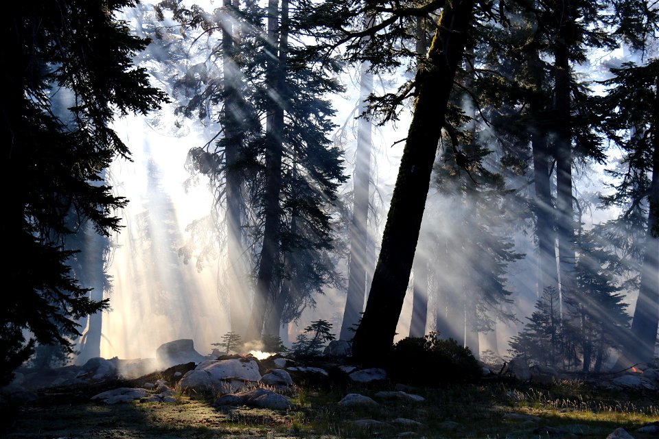 Lukens Fire