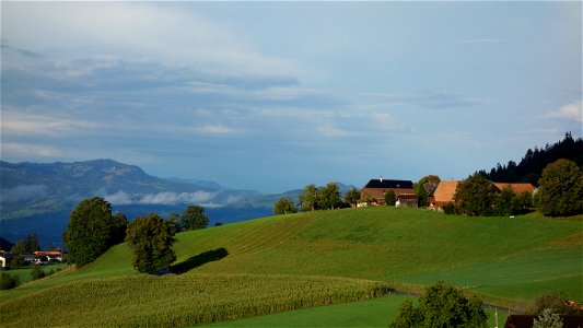 DSC00044