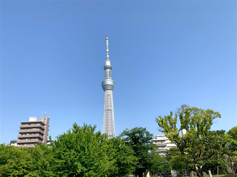 Sumida Park and Tokyo Skytree in Sumida-ku