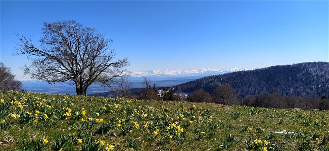 IMG_20210408_150700