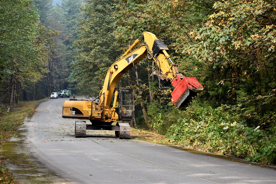 Masticator, Bolt Creek Fire, Washington