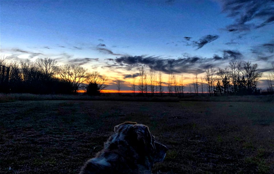 2021/365/307 I Smell Sunset
