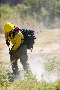 MAY 14: Wildland firefighter uses rogue hoe photo