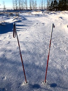 Out on our own Trails photo