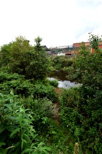 DSC_0573 (2)