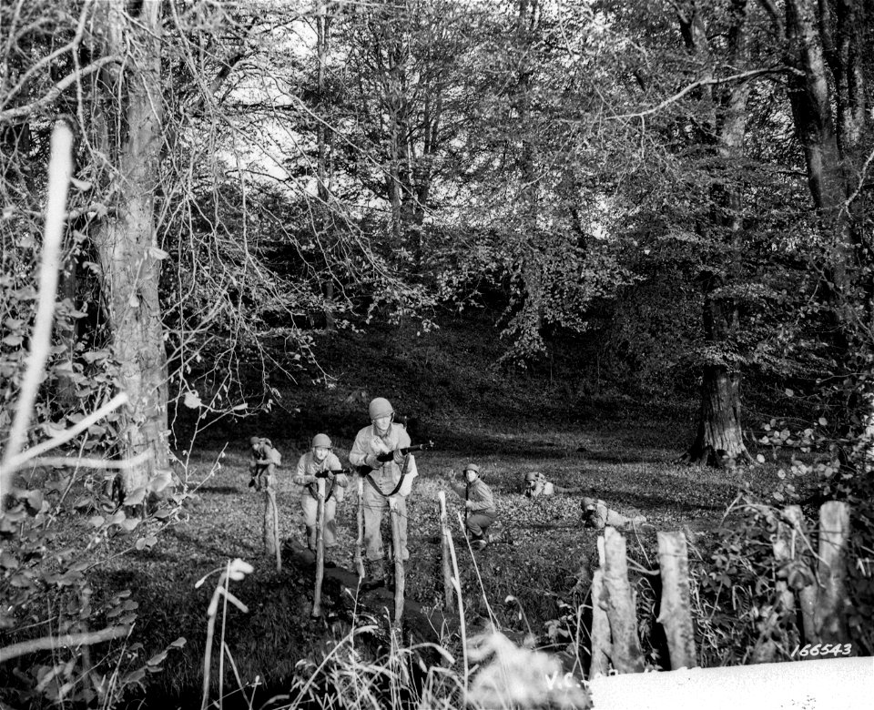SC 166543 - Members of a scouting and patrol party advancing thru open wood and crossing small bridge in the approved manner. During recent battle practice in Northern Ireland.