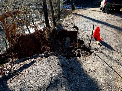 Hazard trees and storm damage photo