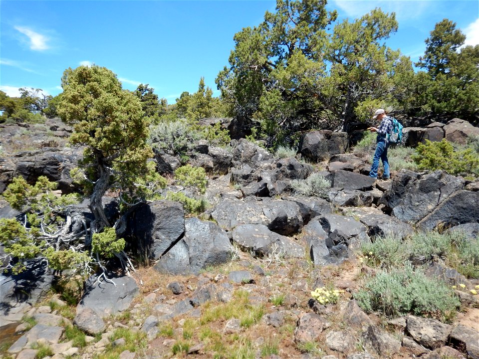 Archaeology survey, Applegate FO
