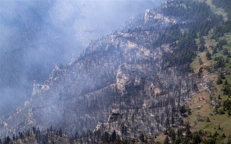 Crooked Creek Fire 2021
