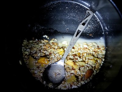 these micro ants :/
