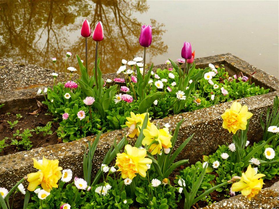 Herestrau Park in spring (84)