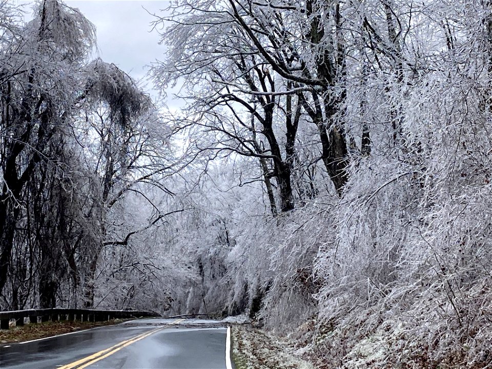 Ice Storm 2022 photo