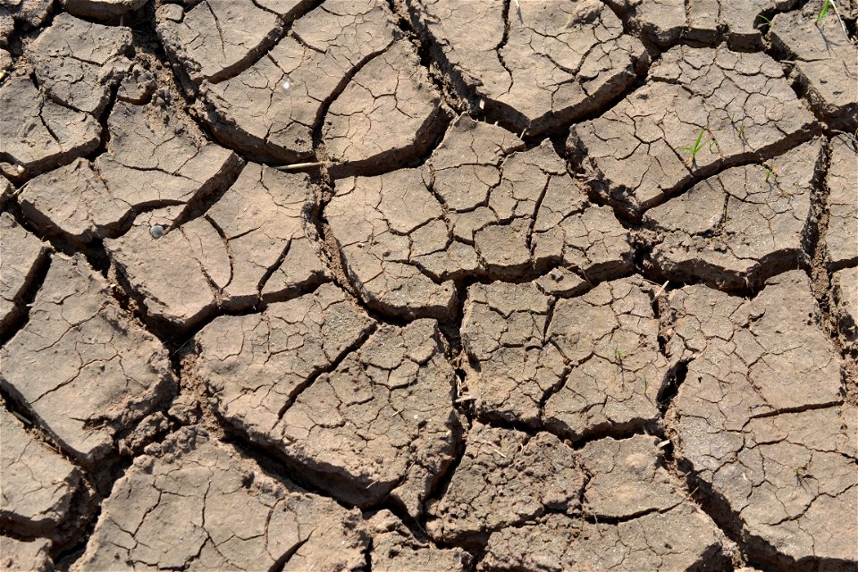 Free textures with cracks