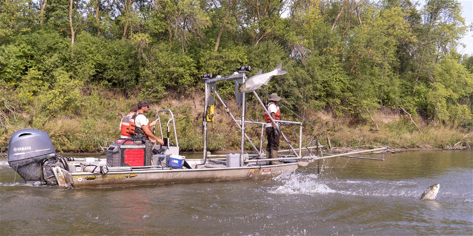 Invasive Carp Research on the James River in South Dakota. Photo: Sam Stukel (USFWS) photo