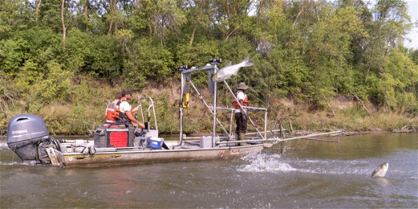 Invasive Carp Research on the James River in South Dakota. Photo: Sam Stukel (USFWS)