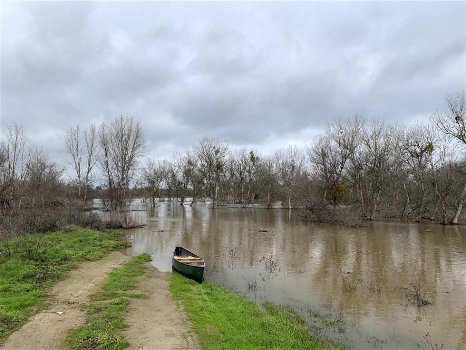 Flooded habitat
