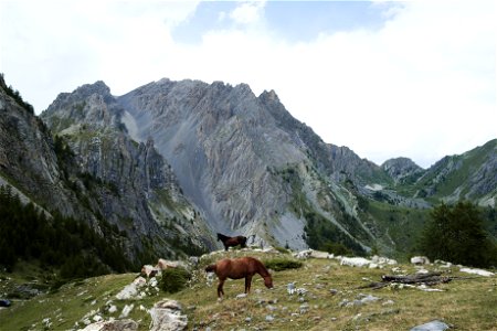 High Lands