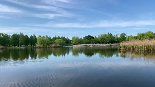 Big Pond in Toneri Park, Adachi-ku photo