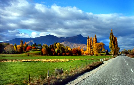 Autumn. Hunter Rd. Otago.