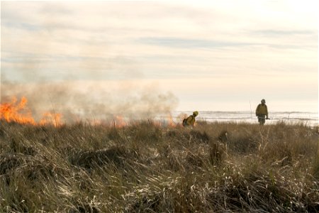 Siuslaw Oregon Dunes Prescribed Burn 2022