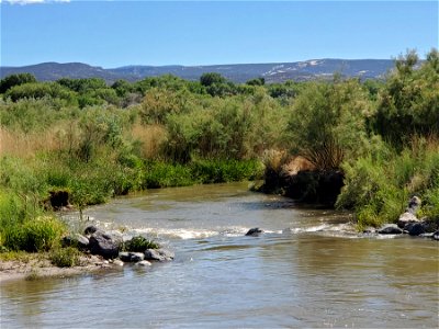 Colorado River at Los Colonias Park photo