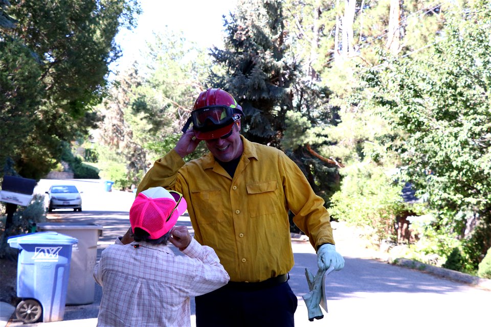 Wood Chipping in Boise