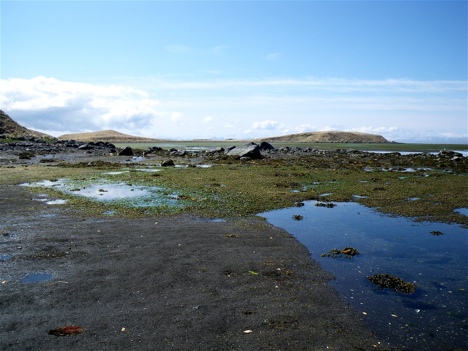 View from Grant Point