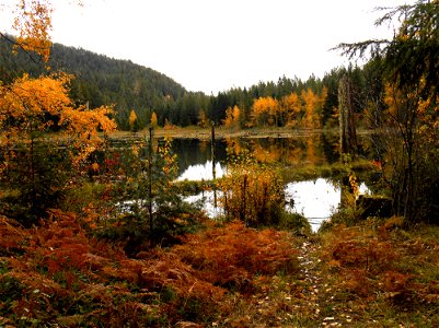 skookum-pond-2jpg_49364692091_o photo