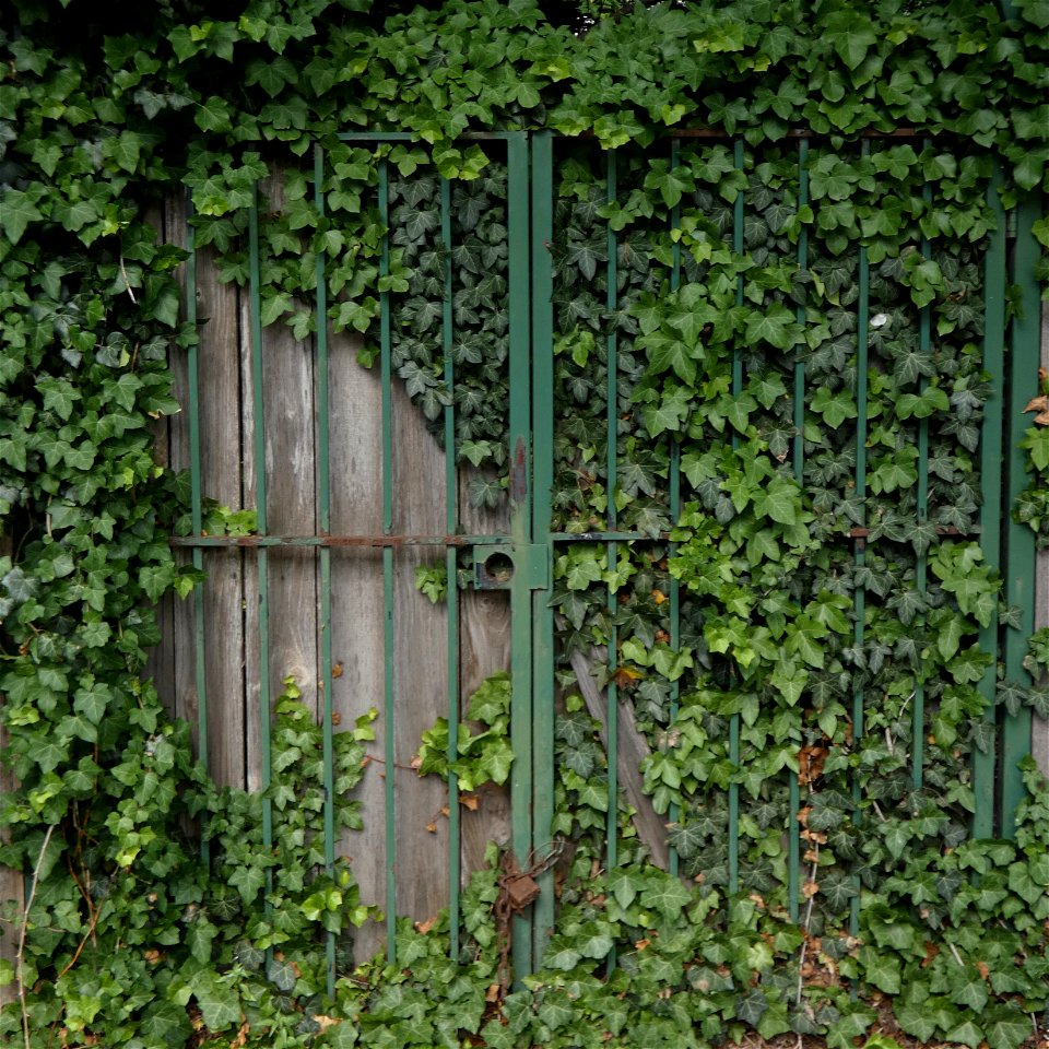 Gate on Clark Street in Andersonville