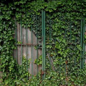 Gate on Clark Street in Andersonville photo