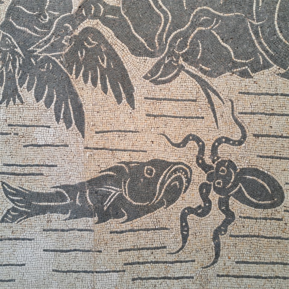 Octopus and Fish Palazzo Massimo Rome Italy