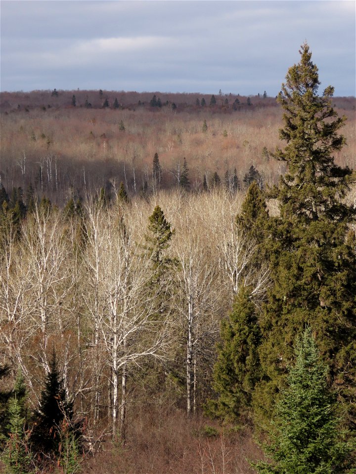 20221026-FS-Superior-SAR-027