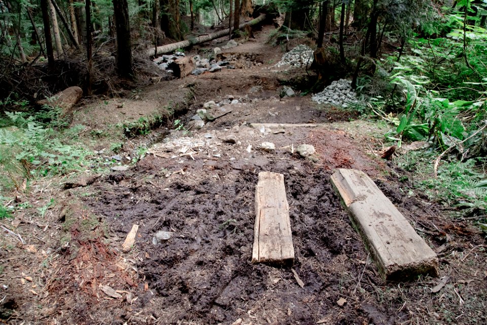 WTA-Wagon Trail to Franklin Falls Snoqualmie Pass-2