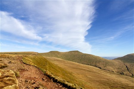 IMG_4158