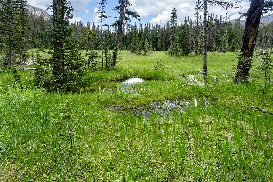 North of Chimayosos Peak