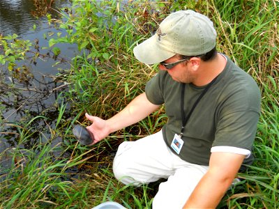 Map turtle released in Wilder Creek after being stabilized and cleaned.