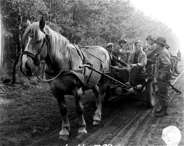 SC 195545 - Cpl. Jaap W. Bothe, San Antonio, Texas, formerly of Rotterdam, Holland, gives some advice to a Dutch farmer who is giving Yanks a lift to the front lines near Son. 19 September, 1944.