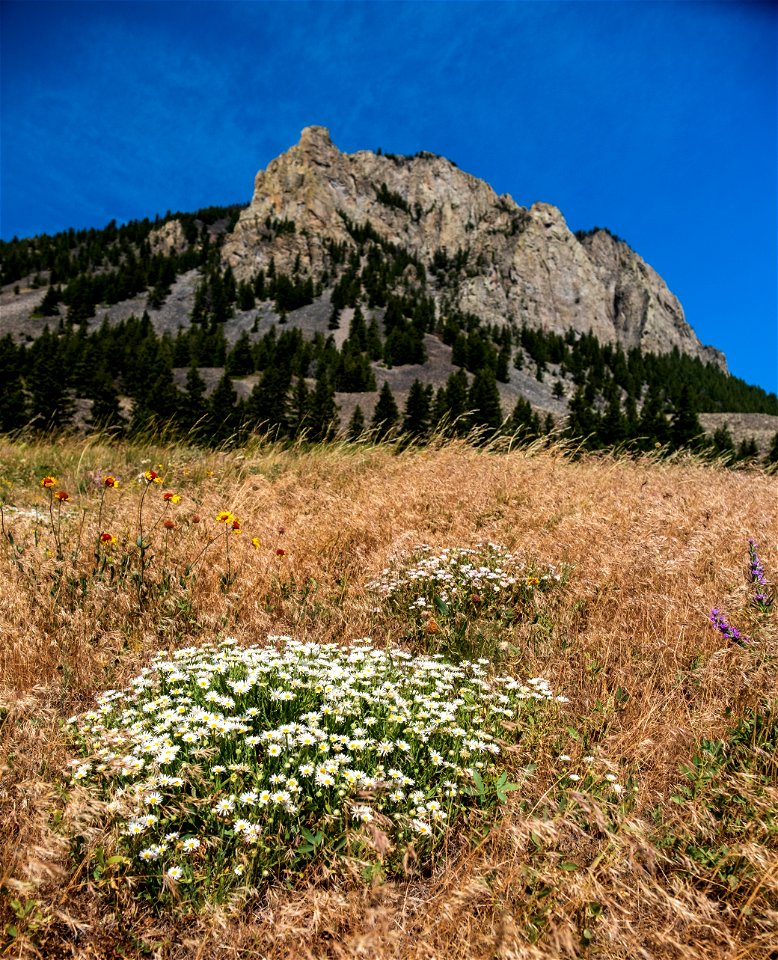 West Butte, Sweet Grass Hills