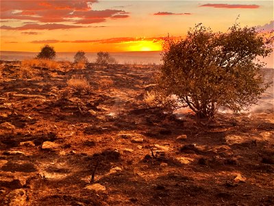 2022 BLM Employee Photo Contest Category - The Land We Protect photo