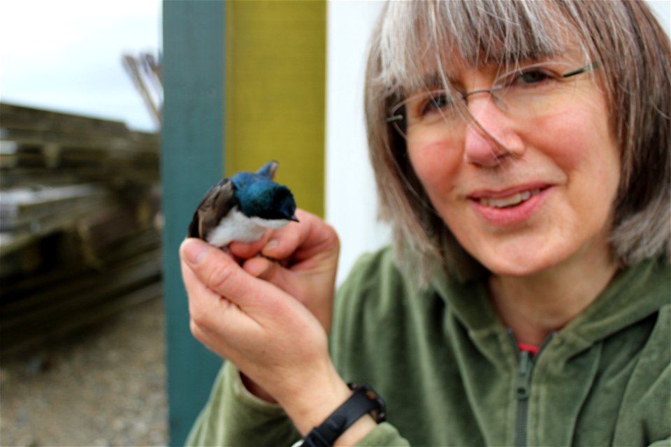Susan Savage with swallow