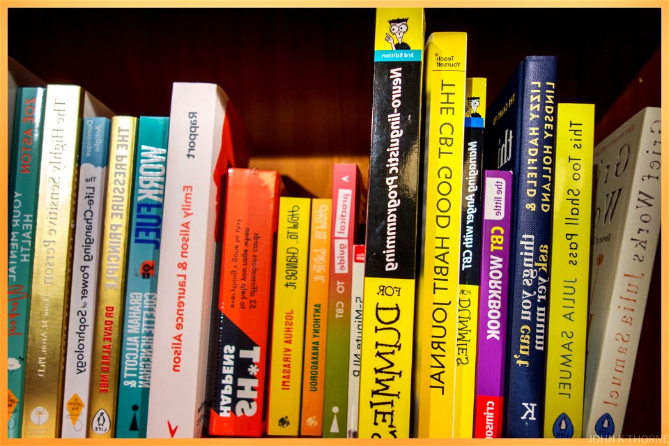 PLEH FLES (A muddle of self help books)