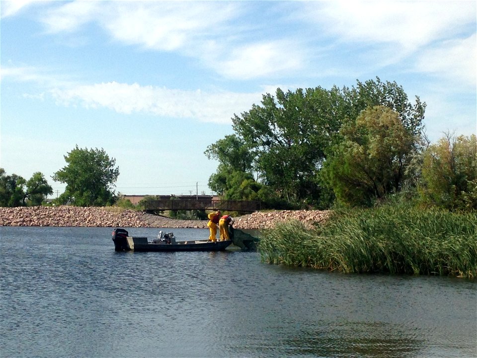 Fish survey at Air Force Base photo