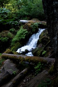 untitled-1346jpg_49364691027_o