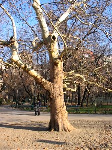 Cismigiu2004_1112(034)