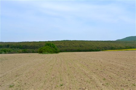 Field photo