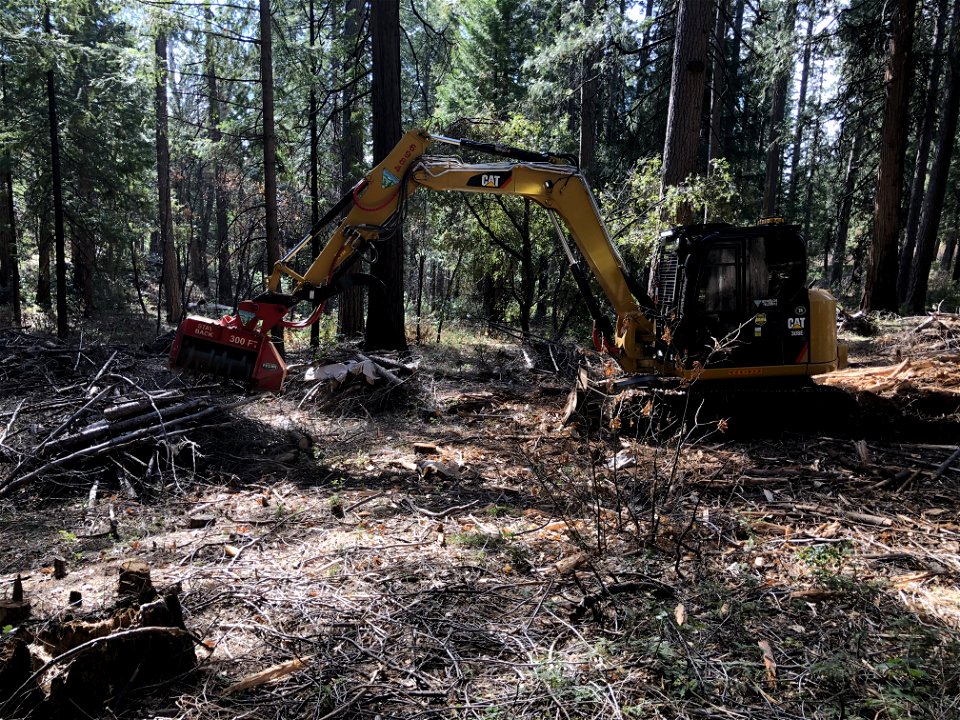 Mastication work at 'Inimim Forest