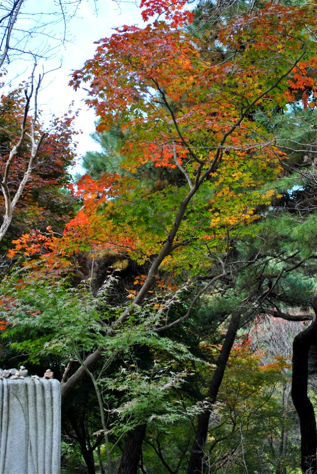 Deoksungsan Mountain