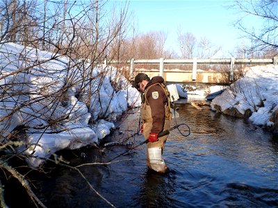 Service Employee Matt Symbal electrofishing in Wislon Creek, a tributary to the Big Garlic River, Marquette County, MI.