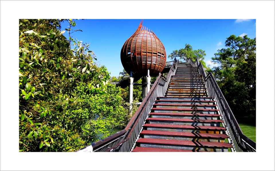 Sungei Buloh Wetland Reserve (Singapore): Kingfisher pod photo