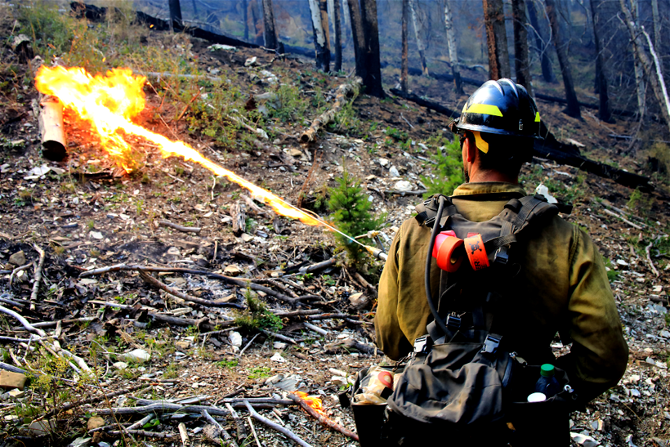 2022 Prescribed Fire